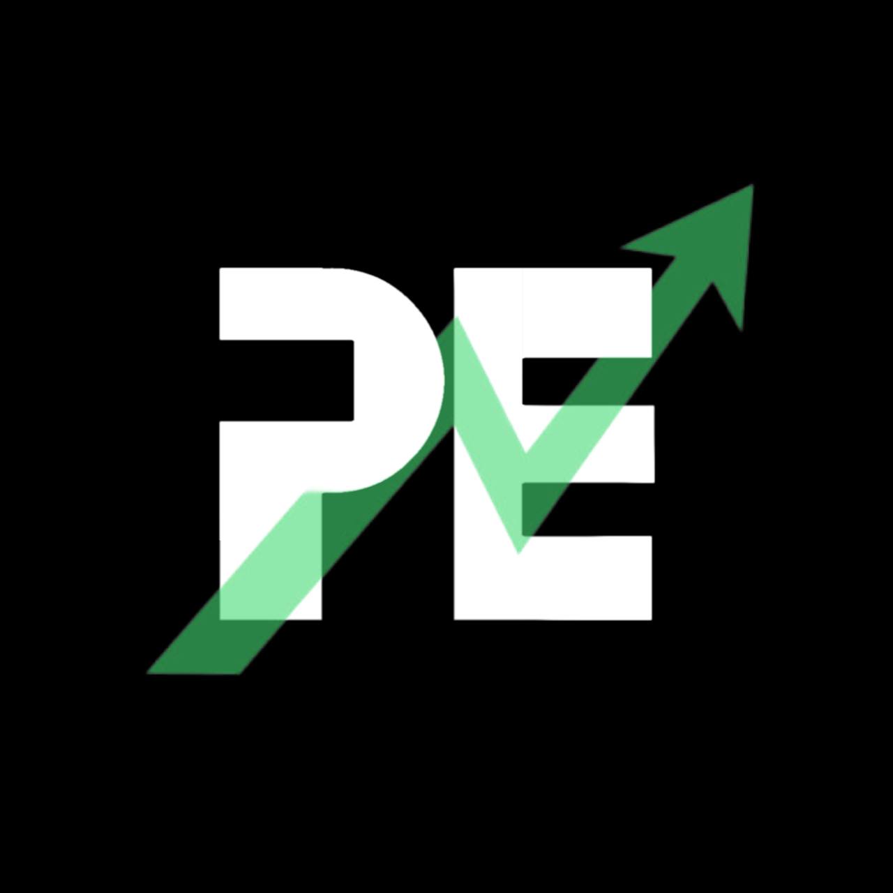 PE Fund Logo